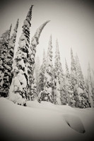 Ripple Ski Cabin (Snowshoe) 2011.01.29