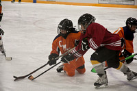 A true Mucker can play from the knees just as well as on the skates.