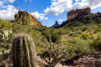 20221110_Lost Dutchman (Superstitions)