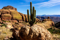 20221111_Peralta Canyon (Superstitions)