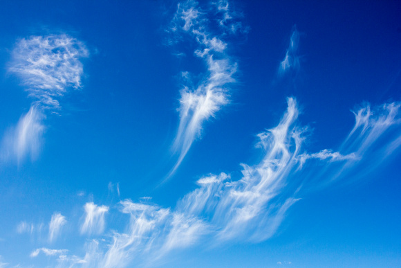 "Mares Tails"