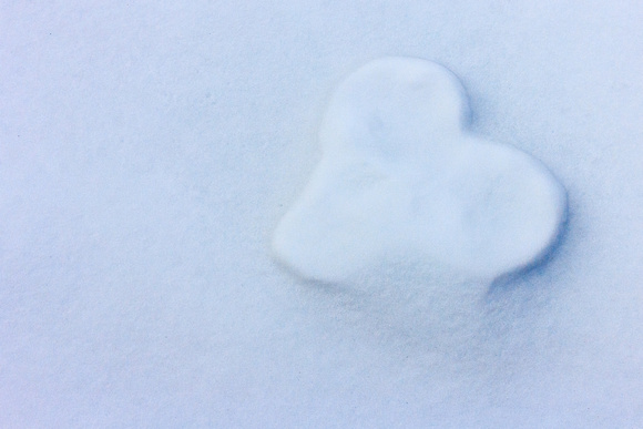 The heart of winter