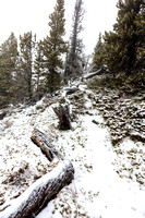 Snow starts to build up on the trail