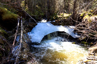 Ice bridge over a small creek along the main trail