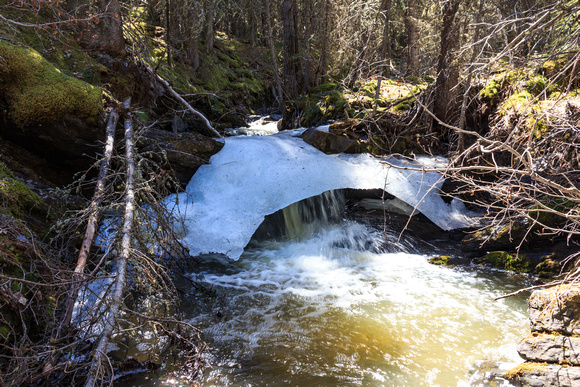 Ice bridge over a small creek along the main trail