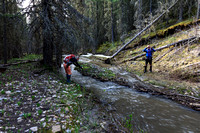 A minor stream crossing
