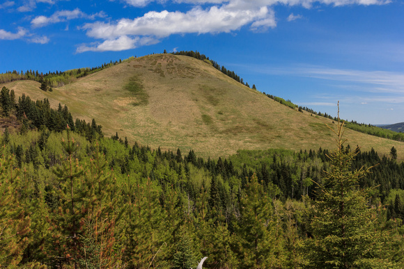 Messa Butte from part way along the trail