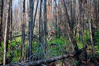 Steve photographs the burned forest along Owen Creek