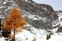 Second breakfast larch.  I contemplated going further to Little Highwood pass - this was my hi-point
