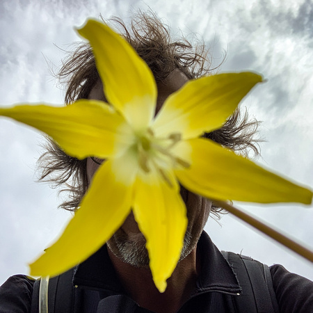 Glacier Lily selfie.