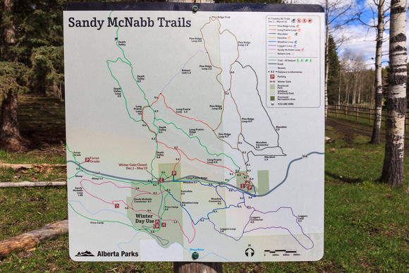 Nice shiney newish trail maps - ski trails in the winter