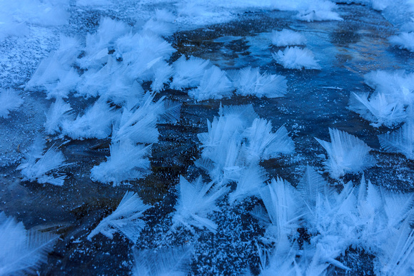 Frost feathers on Three Point Creek.