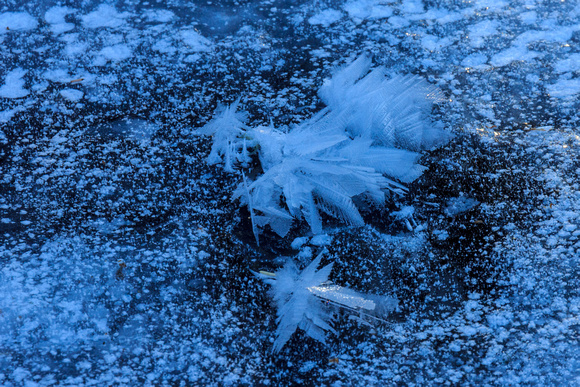 Frost feathers