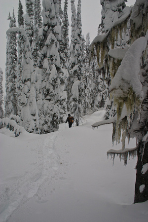 Taking an alternate descent route thru the trees and deep powder